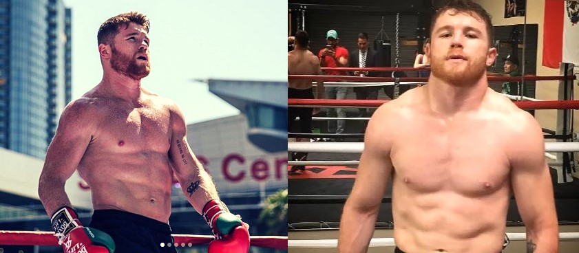 Canelo Alvarez Muscles