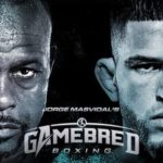 Roy Jones Jr vs Anthony Pettis Boxing Match April 1