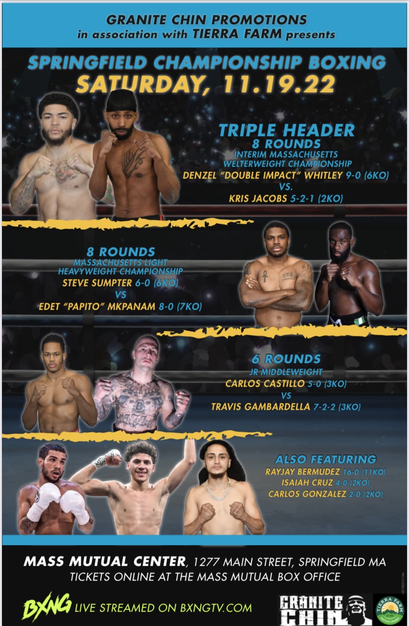 Springfield Championship Boxing Fight Poster november 19