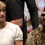 The Prime Boxing Card DAZN Logan Paul vs Dillon Danis