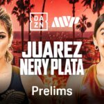 Lourdes Juarez vs. Yesica Nery Plata boxing poster