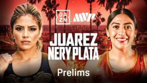 Lourdes Juarez vs. Yesica Nery Plata boxing poster