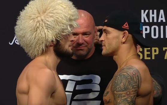 UFC 242 stare down