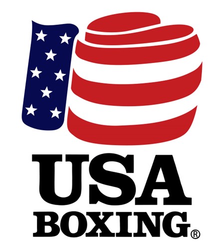 USA boxing glove logo American Flag