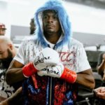 Boxer Veshawn Champion